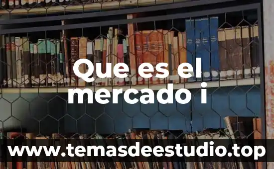 Que es delimitar el mercado 5 Que es el mercado i