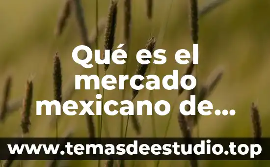 Segmentos de mercado que es 3 Qué es el mercado mexicano de valores
