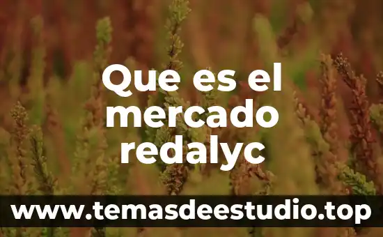 Que es el ser humano teorias 4 Que es el mercado redalyc