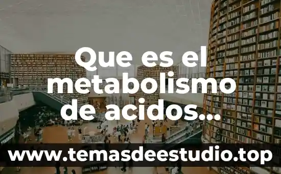 Que es el metabolismo de acidos nucleicos