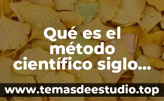 Que es un ciudadano libre en el siglo xxi 8 Qué es el método científico siglo xviii