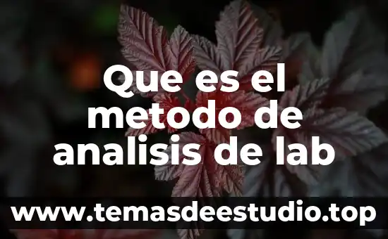 Que es el metodo de analisis de lab