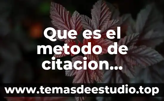Por que es importante es tudiar la historia 8 Que es el metodo de citacion chicago ejemplos