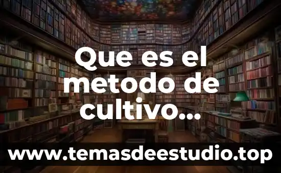 Que es la cultura y cultivo 3 Que es el metodo de cultivo hidroponico