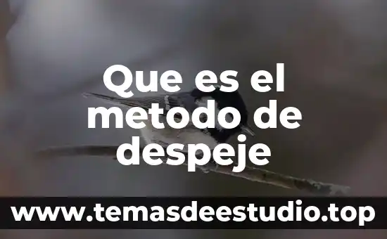 Que es la sociedad mixta en un matrimoneo 8 Que es el metodo de despeje