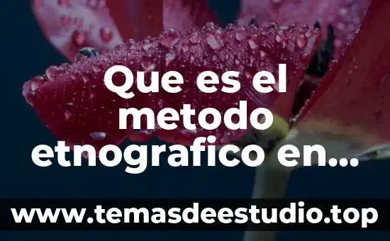 Método científico que es que significa aplicación 7 Que es el metodo etnografico en la investigacion
