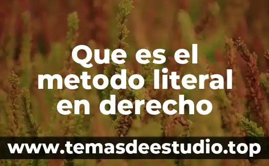 Que es el metodo literal en derecho