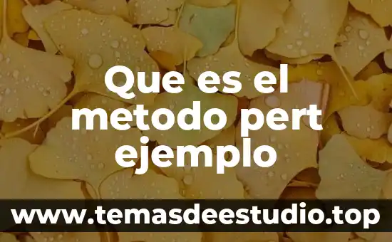 Que es el metodo pert ejemplo
