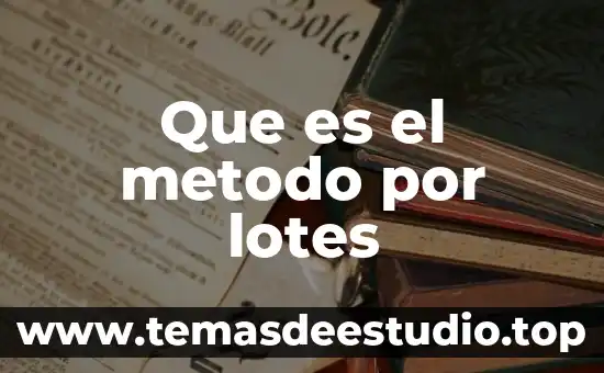 Que es venta de lotes 5 Que es el metodo por lotes
