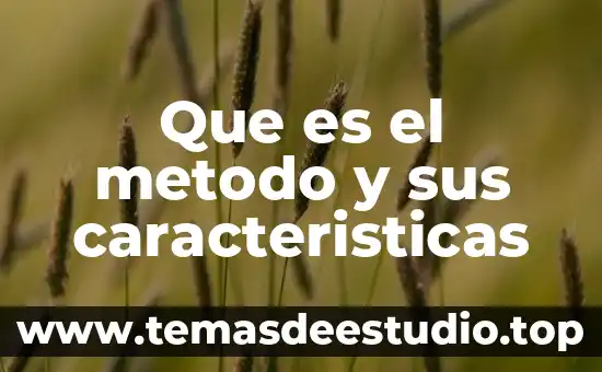 Que es el metodo y sus caracteristicas