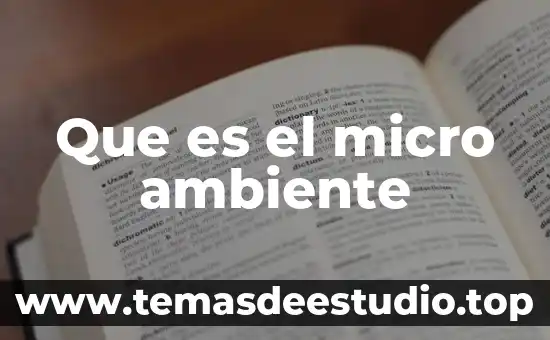 Que es micro o macro historia 7 Que es el micro ambiente