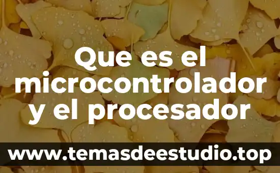 Procesador 8088 que es 7 Que es el microcontrolador y el procesador