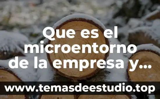 Que es el microentorno de la empresa y sus elementos