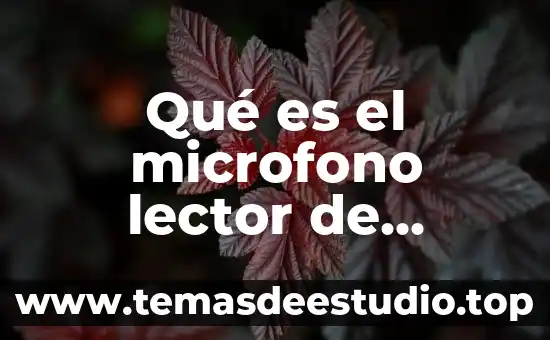 Que es refactorizacion de codigo 7 Qué es el microfono lector de codigo