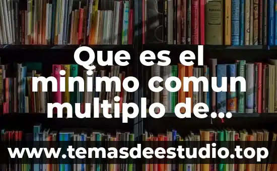 Que es un múltiplo de un número 3 Que es el minimo comun multiplo de polinomios