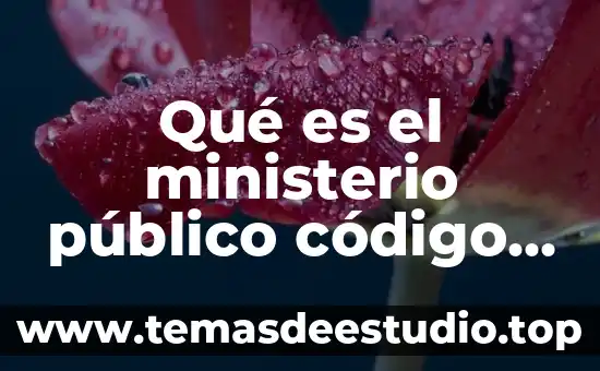 Que es el gravamen procesal civil 6 Qué es el ministerio público código procesal penal México
