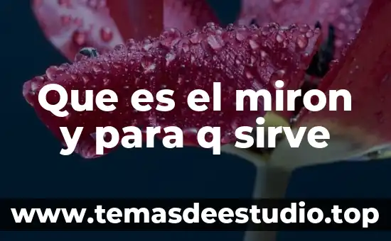 Que es lo q hacian en la cultura teotihuacana 4 Que es el miron y para q sirve