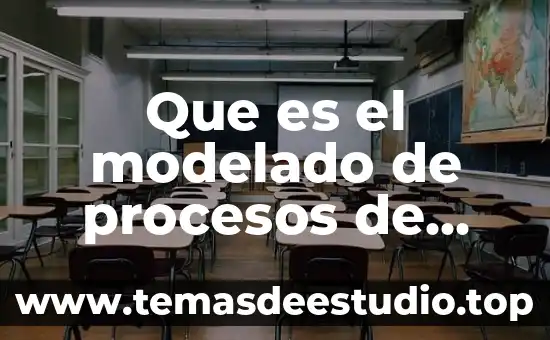 Que es inclucion animal 7 Que es el modelado de procesos de negocio