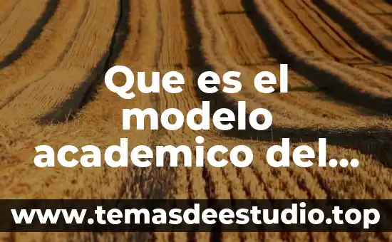 Que es el modelo academico del nivel mediosuperior