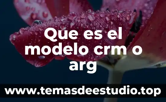Que es un modelo de cálculo en arquitectura 5 Que es el modelo crm o arg