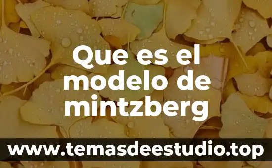 Que es el modelo de color rgb 6 Que es el modelo de mintzberg