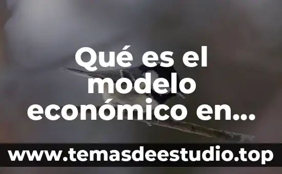 Modelo cinético molecular qué es 8 Qué es el modelo económico en estructura