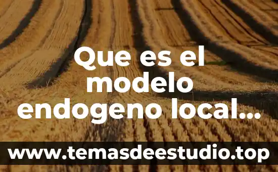Que es el modelo de color rgb 3 Que es el modelo endogeno local regional
