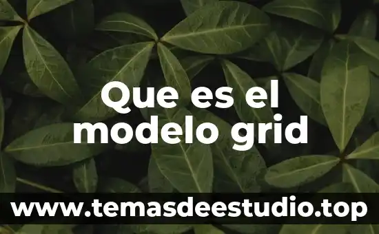 Que es el modelo grid