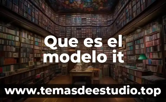 Que es el modelo it