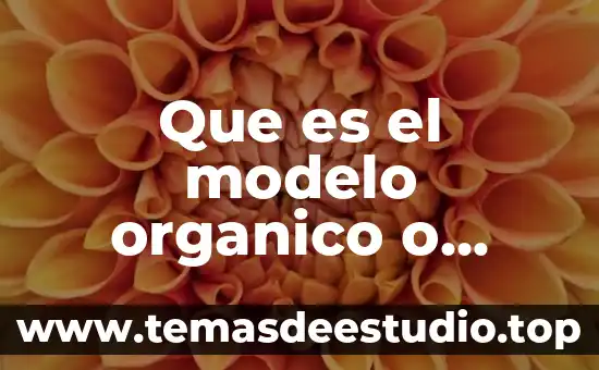 Azufre organico reducido que es 3 Que es el modelo organico o psicosociologico