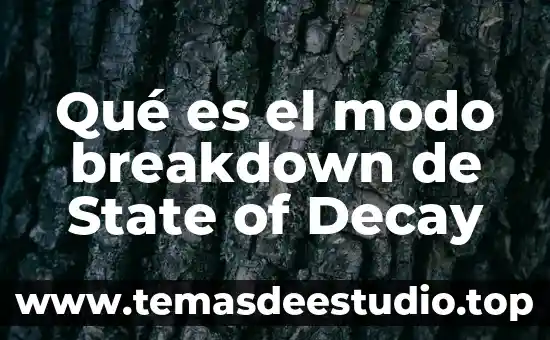 Qué es un grant of probate en México 8 Qué es el modo breakdown de State of Decay