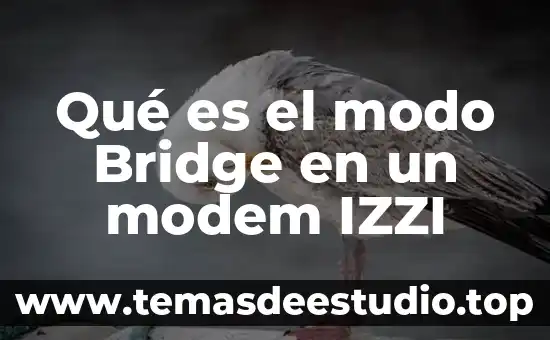 Libros sobre que es conocimiento 8 Qué es el modo Bridge en un modem IZZI