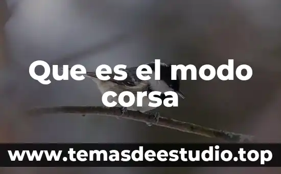 Que es el movimiento ccc 7 Que es el modo corsa
