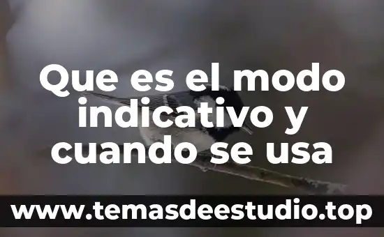 Que es el modo indicativo y cuando se usa