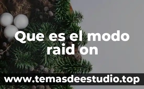 Que es el modo raid on