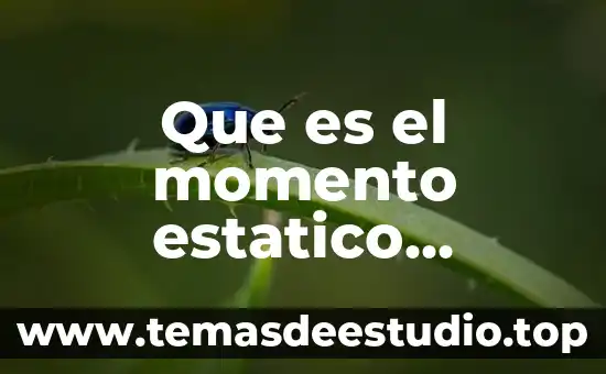 Que es fisicamente atraido 3 Que es el momento estatico fisicamente