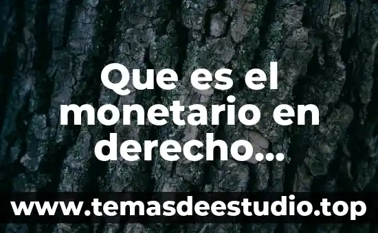 Según el fondo monetario que es la cultura 5 Que es el monetario en derecho mercantil