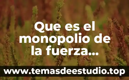 Que es el monopolio de la fuerza publica