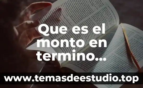 Que es sistema financiero mundial 8 Que es el monto en termino financiero