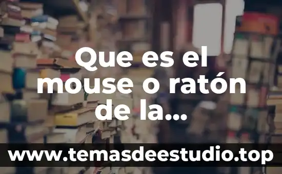 Animal que es como un ratón gigante 5 Que es el mouse o ratón de la computadora