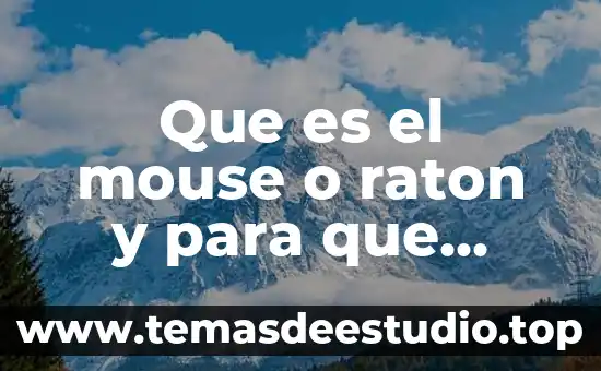 Animal que es como un ratón gigante 4 Que es el mouse o raton y para que sirve