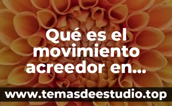 Que es intervencion por atomizar en contabilidad 4 Qué es el movimiento acreedor en contabilidad