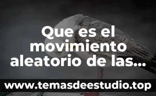 Moléculas que es resultado de la acción de una enzima 3 Que es el movimiento aleatorio de las moleculas
