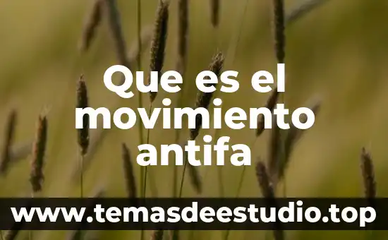 Qué es un movimiento de origen de flujo 5 Que es el movimiento antifa