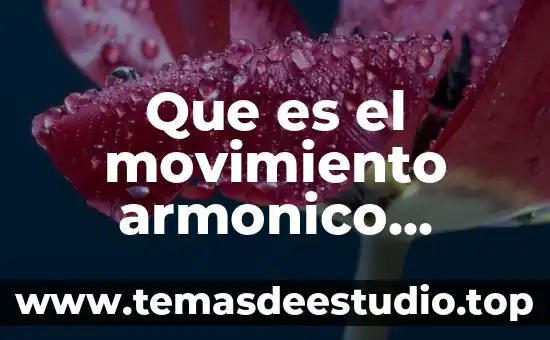 Esqui o snowboard que es mas facil 4 Que es el movimiento armonico simple m.a.s