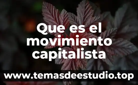 Que es el movimiento de la luna para niños 4 Que es el movimiento capitalista