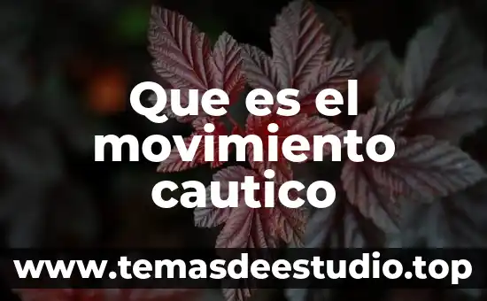 Que es un movimiento sismico 7 Que es el movimiento cautico