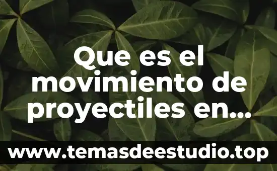 Que es una lesion hipodensa parietal derecha 7 Que es el movimiento de proyectiles en fisica