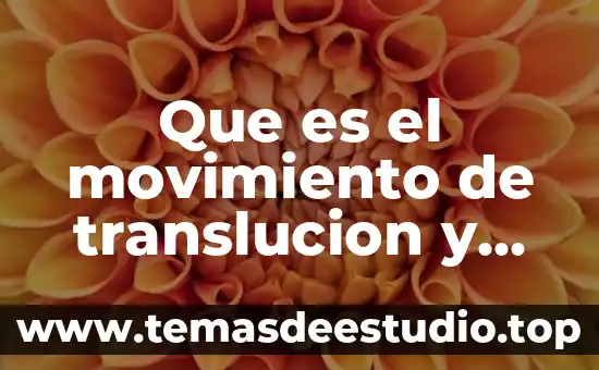 Qué es icono concepto 8 Que es el movimiento de translucion y cuanto dura