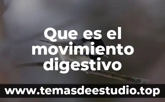 Que es el movimiento digestivo
